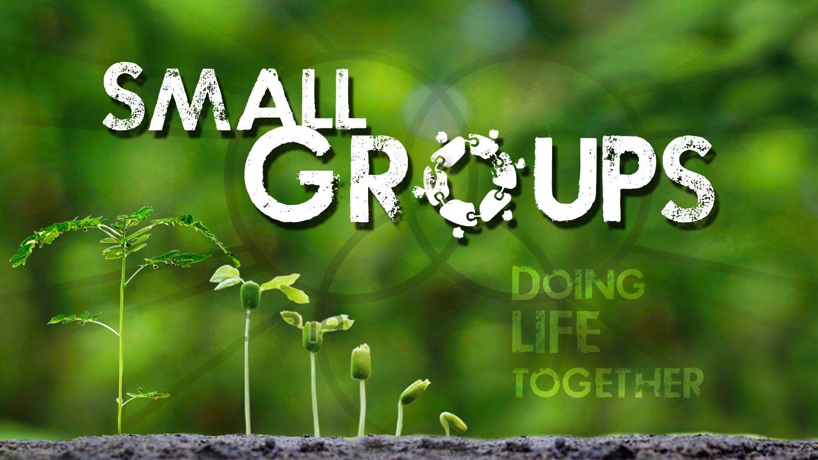 Small Groups – Millington Baptist Church
