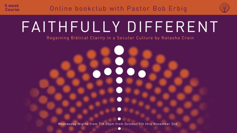 Faithfully Different Book Discussion Group
