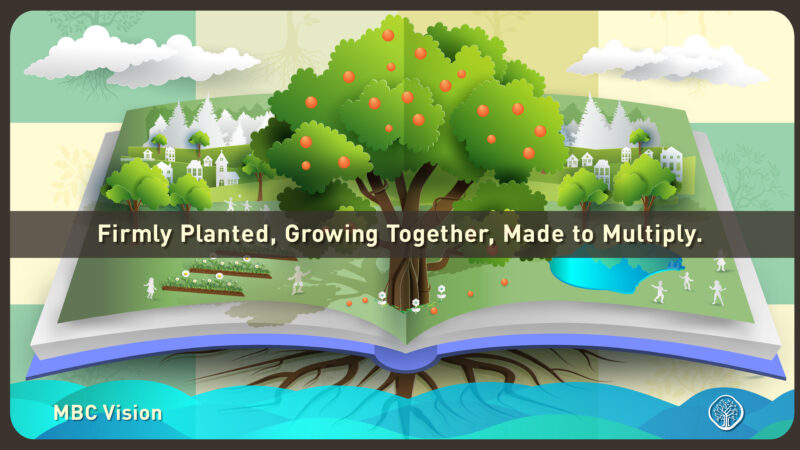 Vision Generic_YEG Feature art