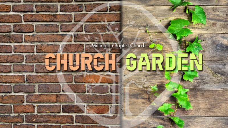 MBC Church Garden